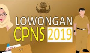 Hasil Seleksi Administrasi CPNS 2019 Kota Solok